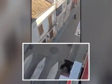 Tragedia en Andújar Tragedia en Andújar