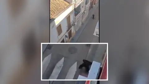 Tragedia en Andújar Tragedia en Andújar