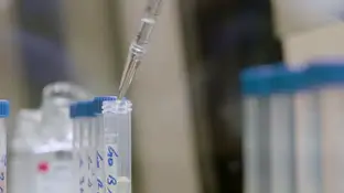 Imagen de archivo de un laboratorio Mundo