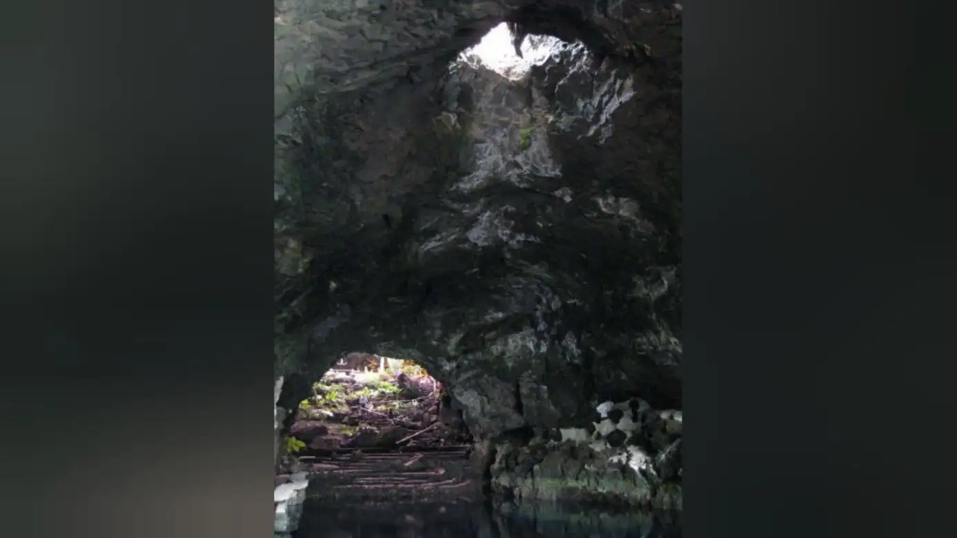 Interior de los Jameos del Agua, en Lanzarote Interior de los Jameos del Agua, en Lanzarote