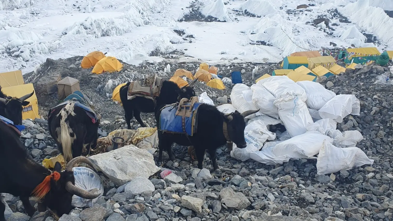 Recogida de basura en el campamento base del monte Everest Recogida de basura en el campamento base del monte Everest