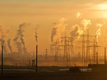 Contaminación Contaminación