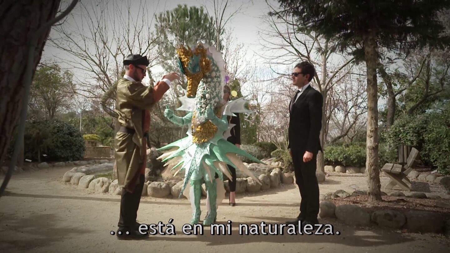 Caballito de mar: “Ser una gran conquistadora está en mi naturaleza” 