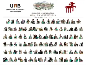 La orla viral de los veterinarios de Barcelona La orla viral de los veterinarios de Barcelona