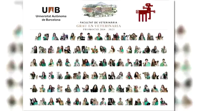La orla viral de los veterinarios de Barcelona 