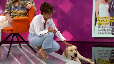 El miedo de Taker, el perro de Sonsoles Ónega, en su primera visita al plató: 