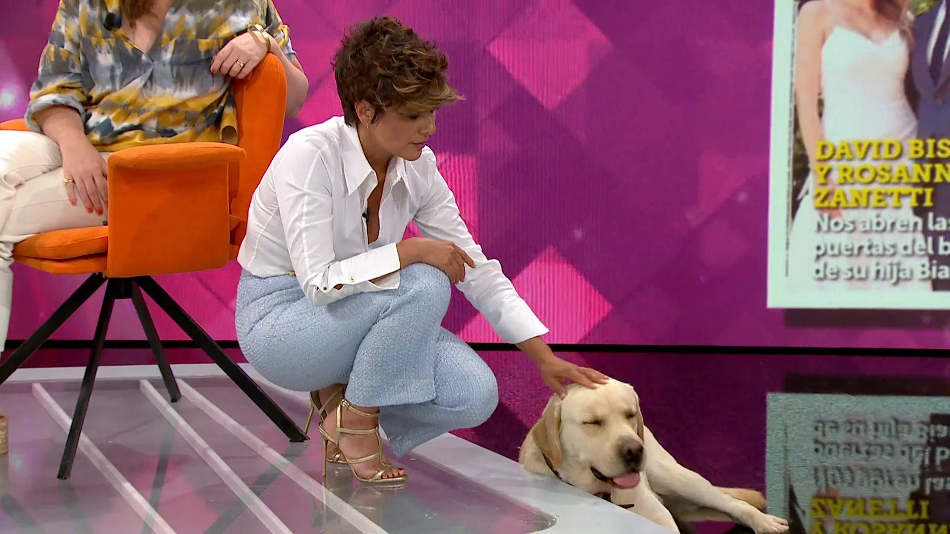 perro de sonsoles perro de sonsoles