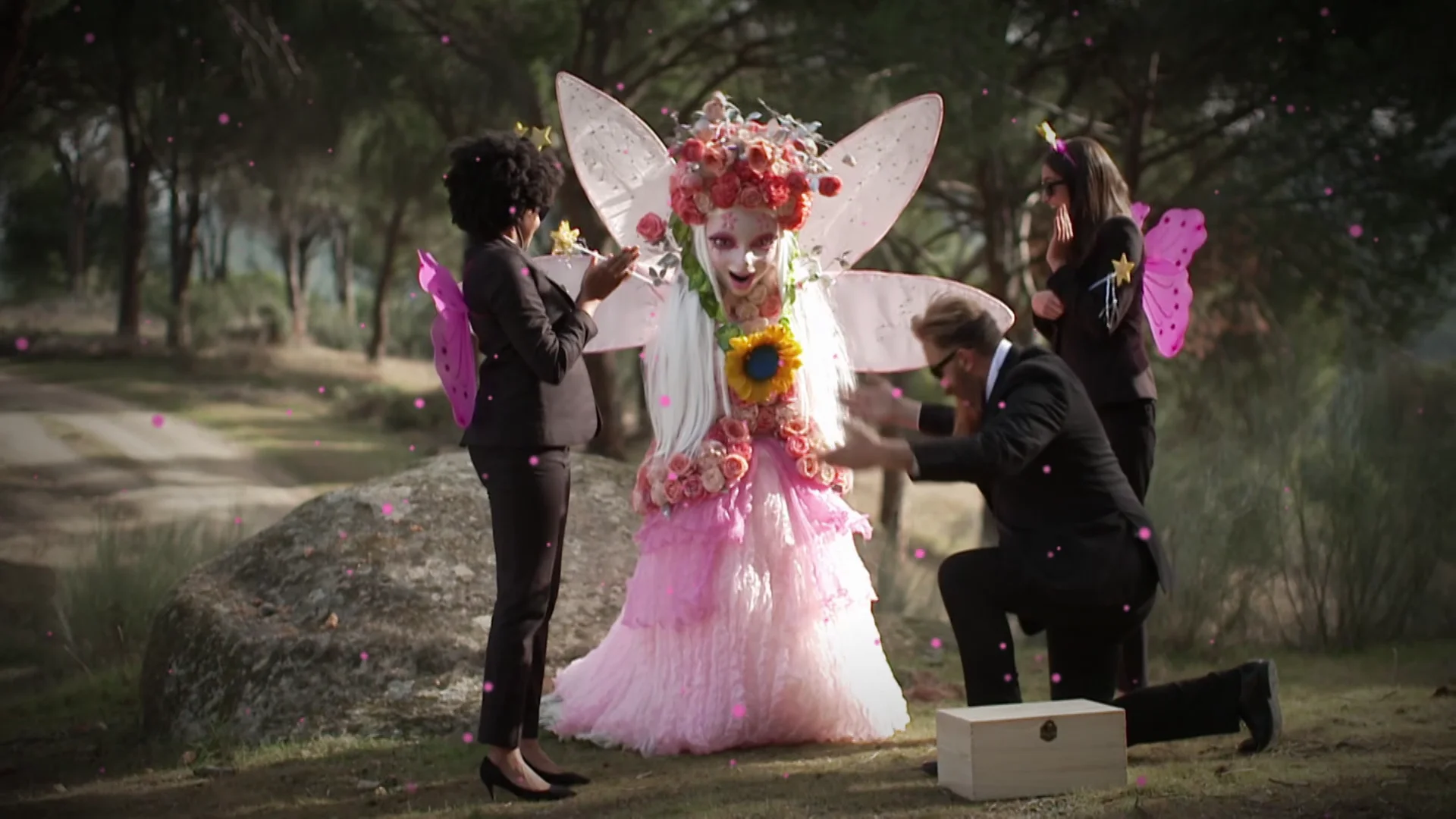 Hada se presenta ante una caja con un girasol muy especial ¿Significativo? Hada se presenta ante una caja con un girasol muy especial ¿Significativo?