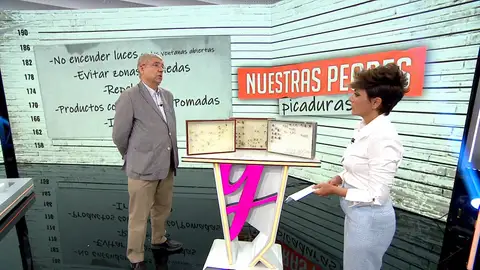 Llega el verano y, con él, las plagas: así puedes hacer frente a las picaduras de la mosca negra, avispas o chinches Llega el verano y, con él, las plagas: así puedes hacer frente a las picaduras de la mosca negra, avispas o chinches