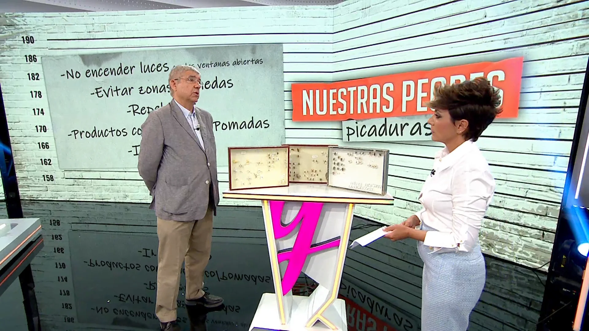 Llega el verano y, con &eacute;l, las plagas: as&iacute; puedes hacer frente a las picaduras de la mosca negra, avispas o chinches