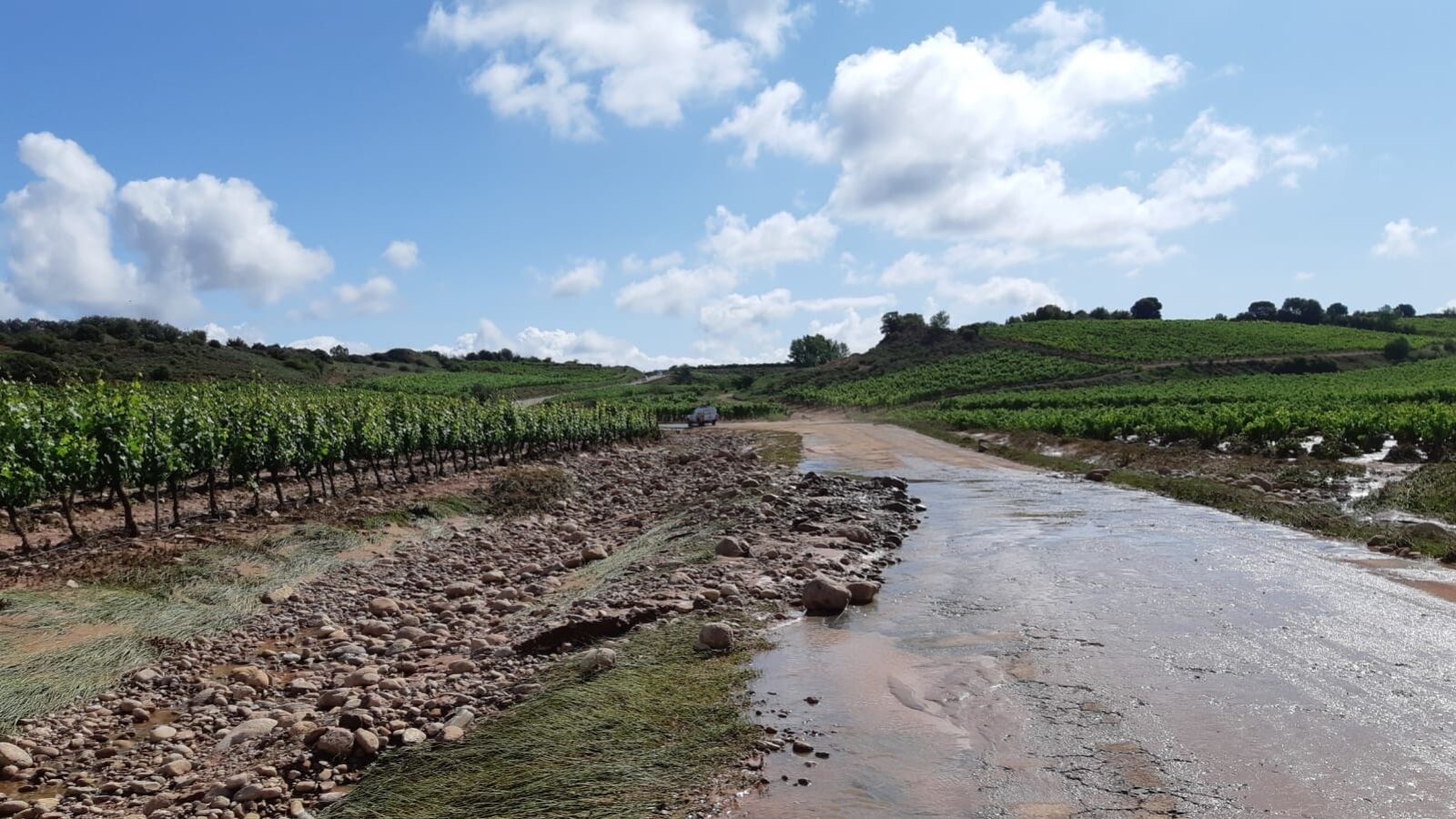 Cuatro días después de las tormentas, muchos viñedos de La Rioja siguen embarrados