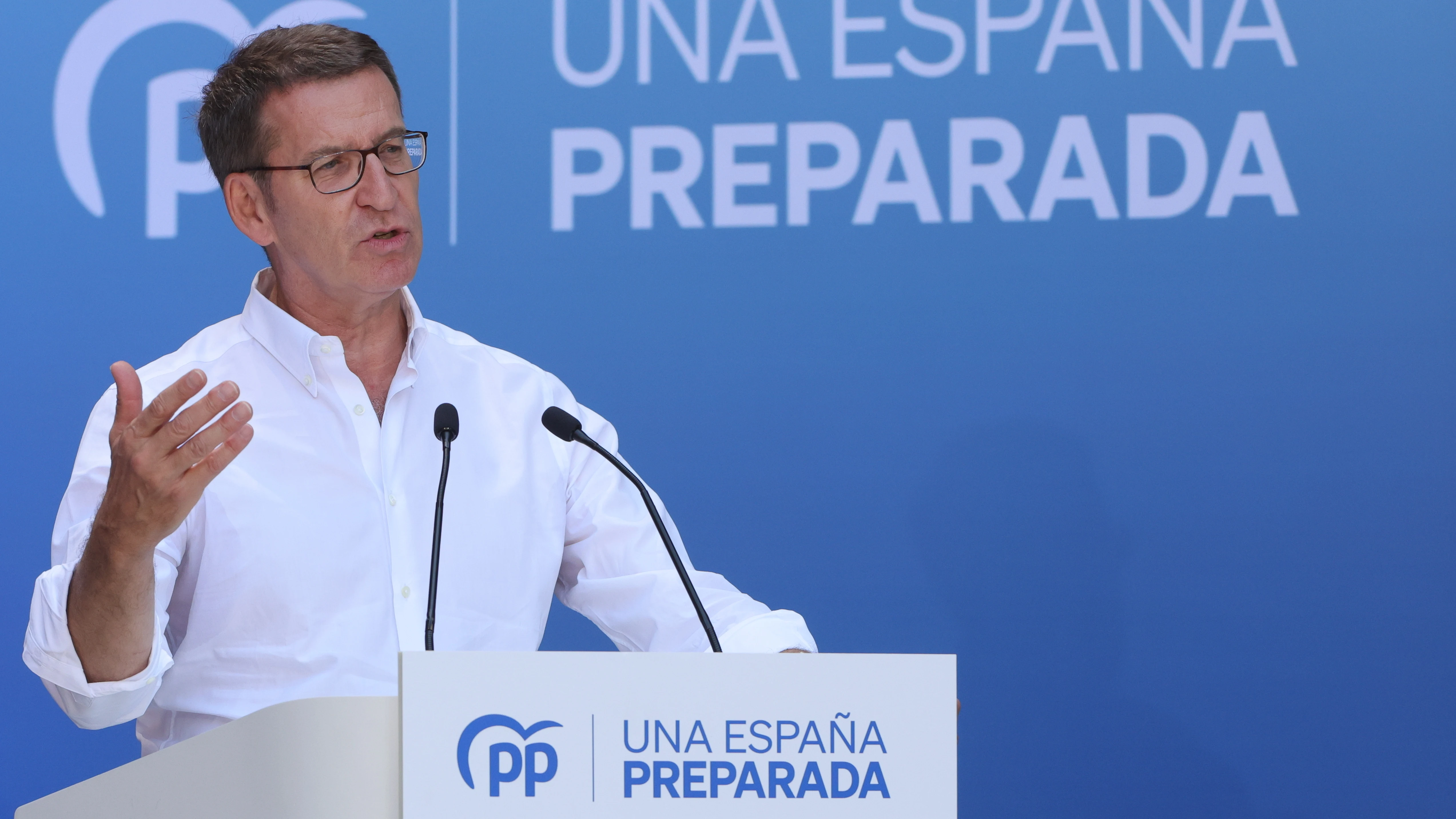 El l&iacute;der del PP, Alberto N&uacute;&ntilde;ez Feij&oacute;o