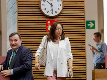 La diputada autonómica de Vox Llanos Massó La diputada autonómica de Vox Llanos Massó