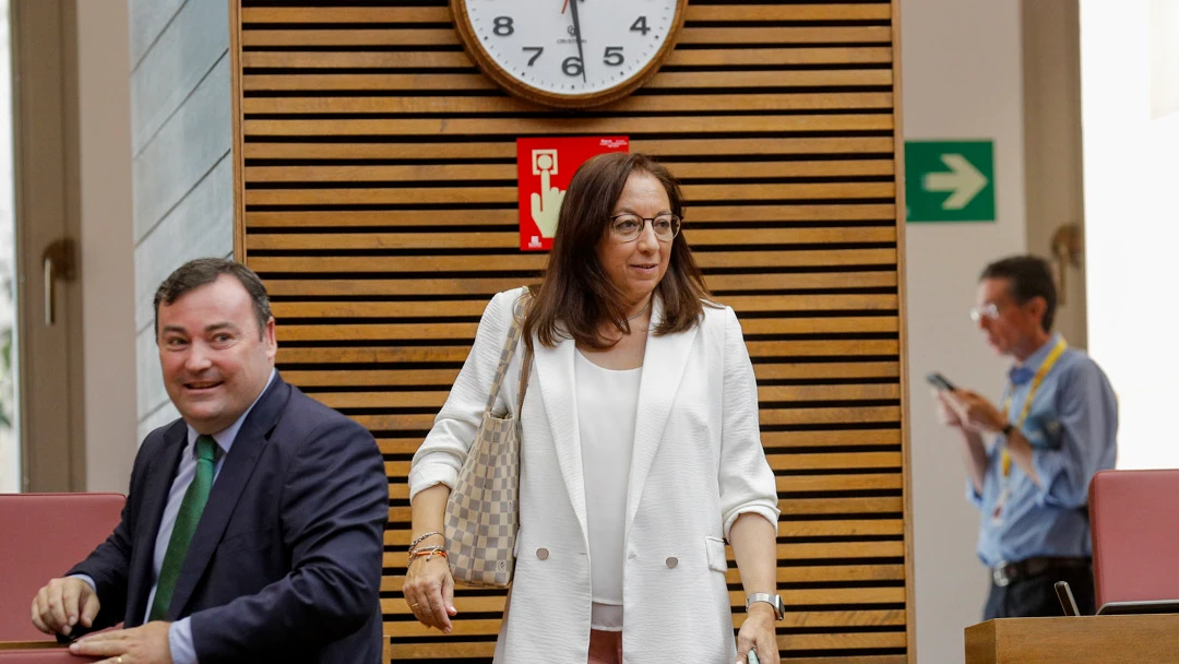 La diputada auton&oacute;mica de Vox Llanos Mass&oacute;