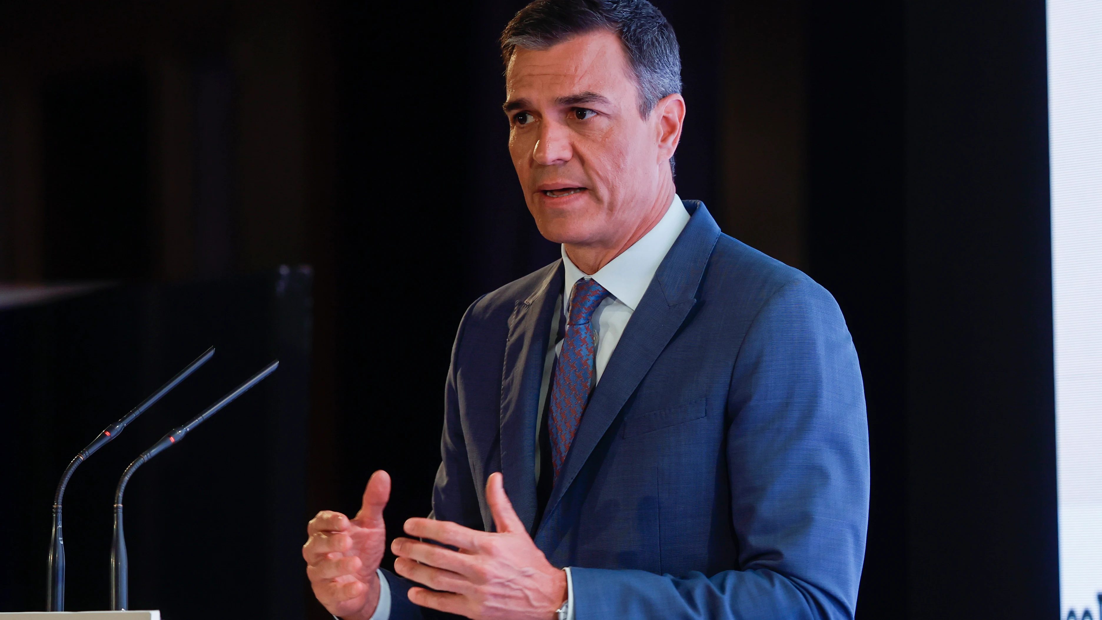 El presidente del Gobierno, Pedro S&aacute;nchez