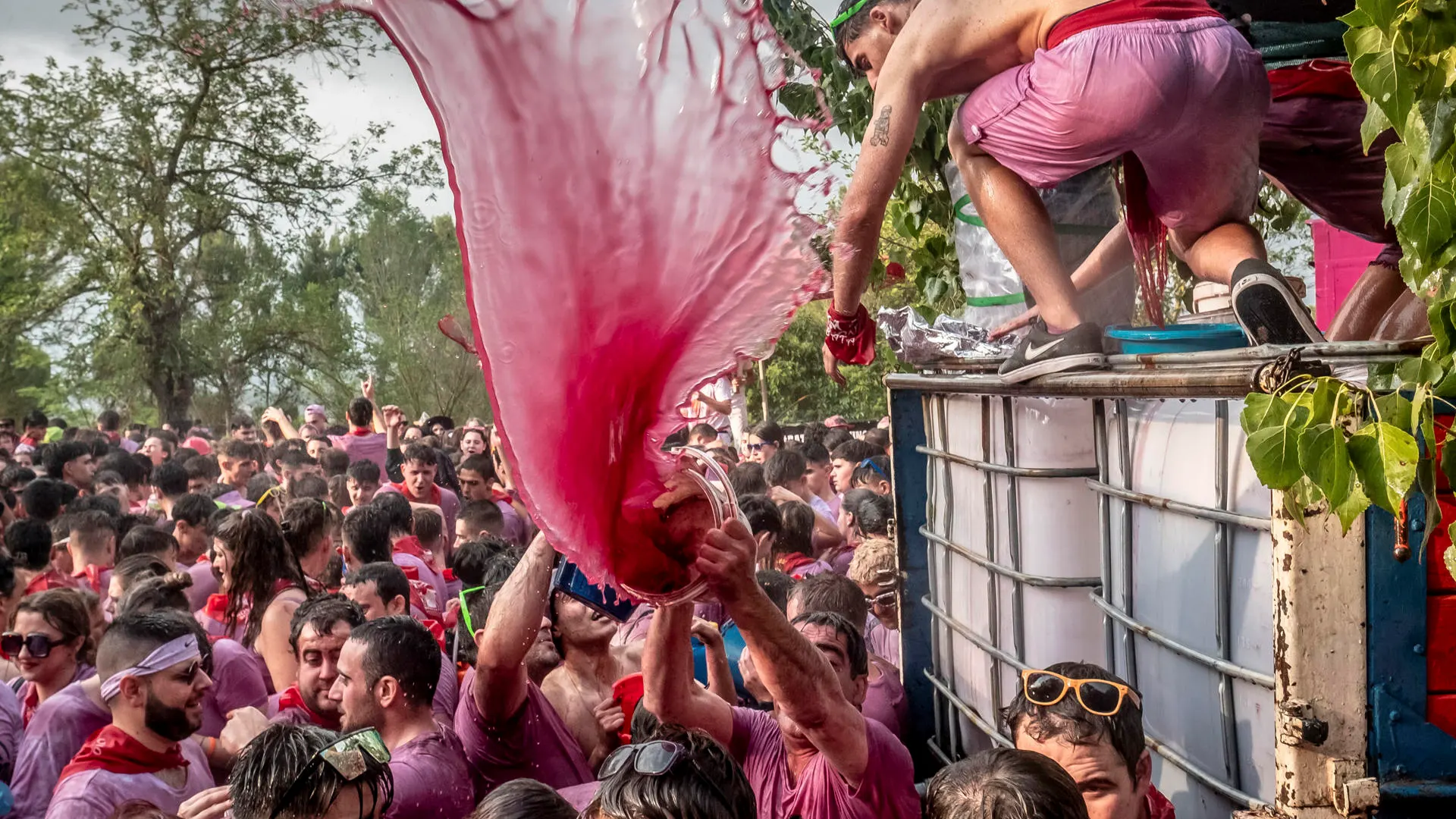 Batalla del Vino de Haro