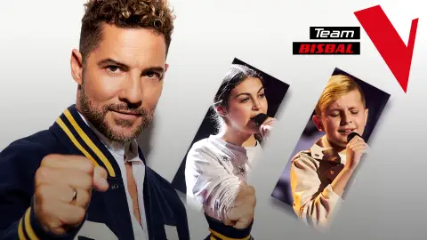 Equipo David Bisbal Equipo David Bisbal