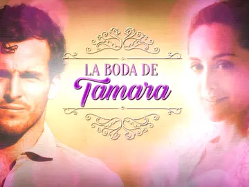 dinero tamara falcó dinero tamara falcó