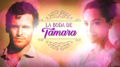 La boda de Tamara Falcó en cifras: este es el dinero que mueve la boda del año