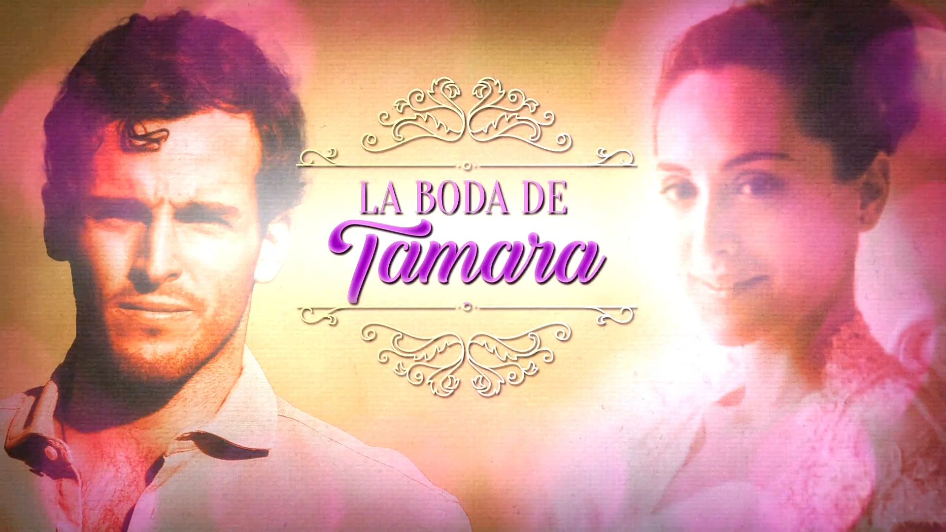 dinero tamara falcó dinero tamara falcó