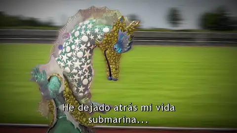 Las últimas pistas de Caballito de mar: “He dejado atrás mi vida mi submarina” Las últimas pistas de Caballito de mar: “He dejado atrás mi vida mi submarina”