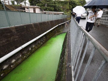 Un río de Japón se vuelve verde fosforito
