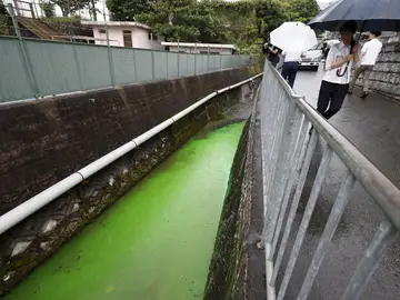Un río de Japón se vuelve verde fosforito Un río de Japón se vuelve verde fosforito