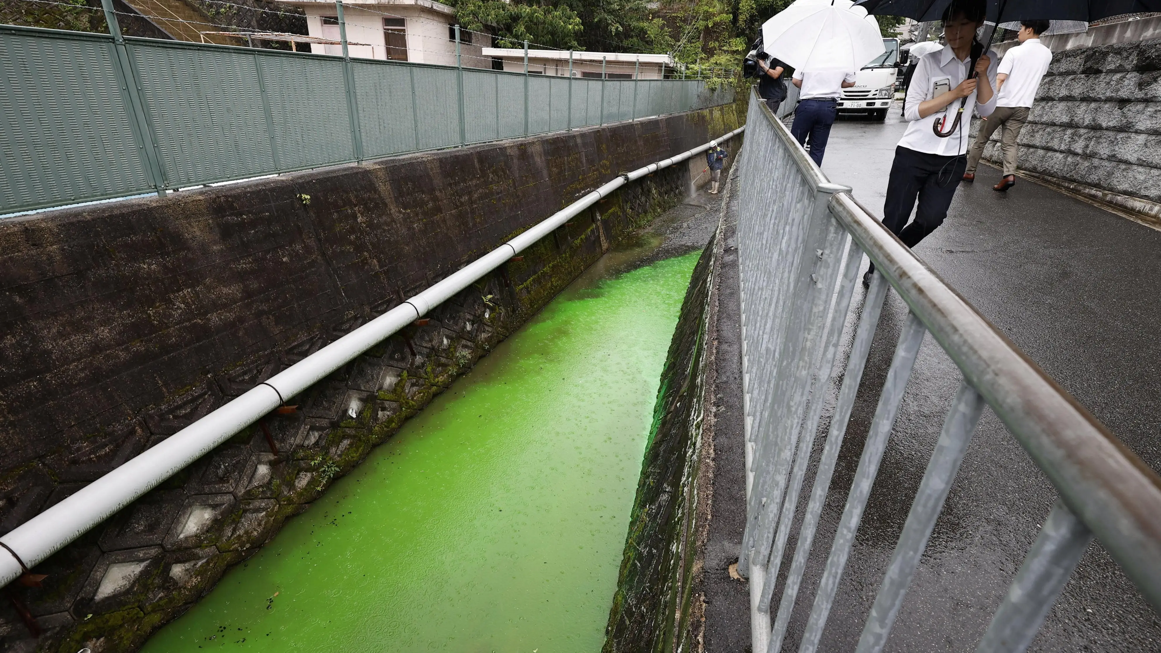 Un río de Japón se vuelve verde fosforito Un río de Japón se vuelve verde fosforito