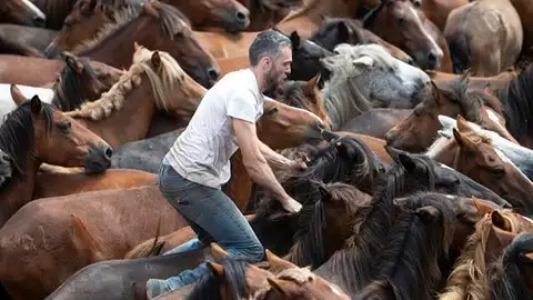 Un 'aloitador' intenta retener los caballos salvajes Un 'aloitador' intenta retener los caballos salvajes