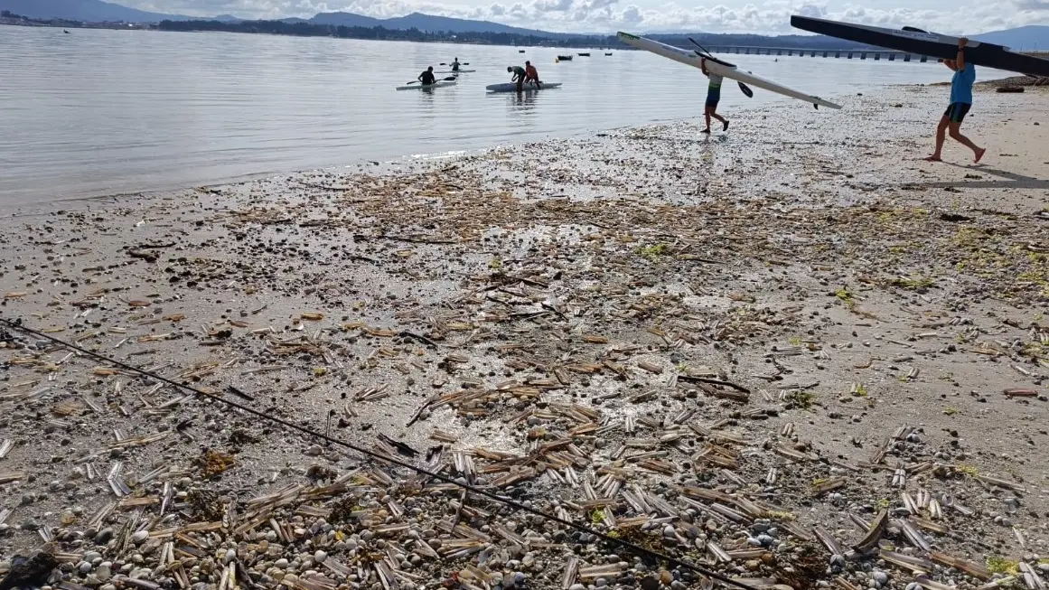 Fotos cedidas por la OPP-20 del estado de la playa de Illa de Arousa