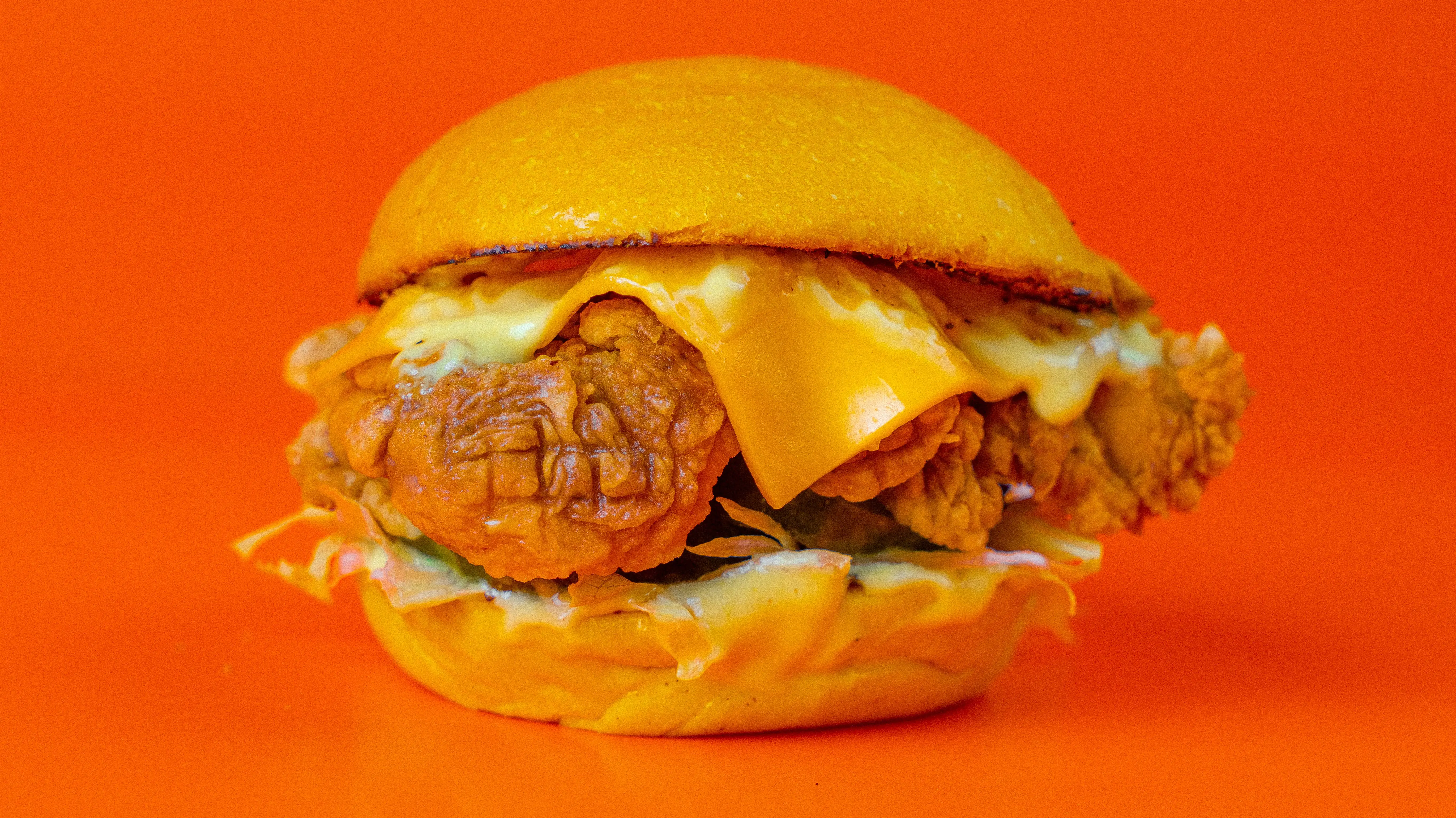 Imagen de una hamburguesa Imagen de una hamburguesa