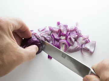 Cebolla Cebolla
