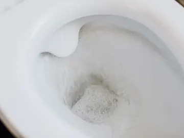 Inodoro Inodoro