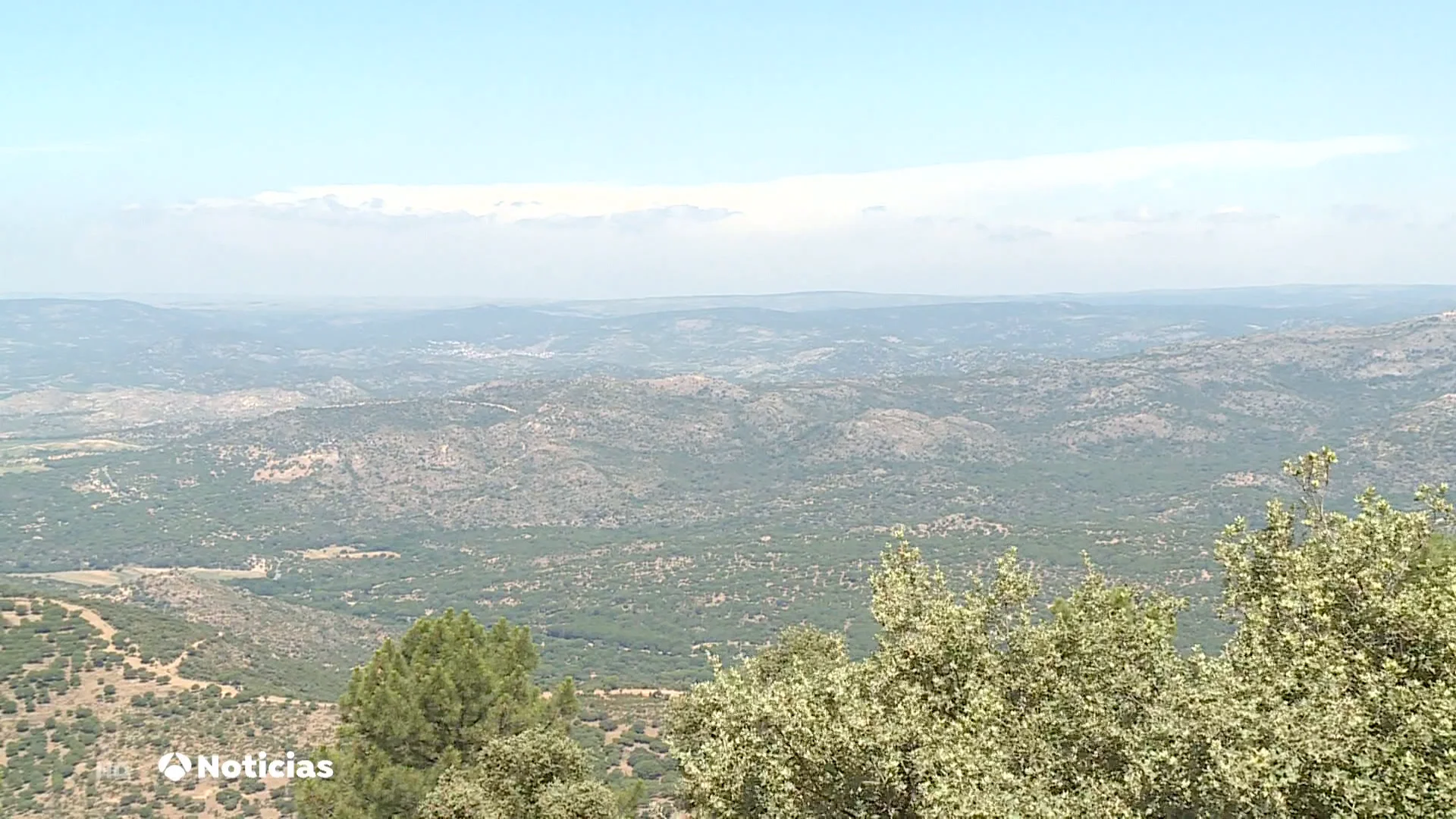 Los ojeadores contra el fuego desde las torres de vigilancia Los ojeadores contra el fuego desde las torres de vigilancia