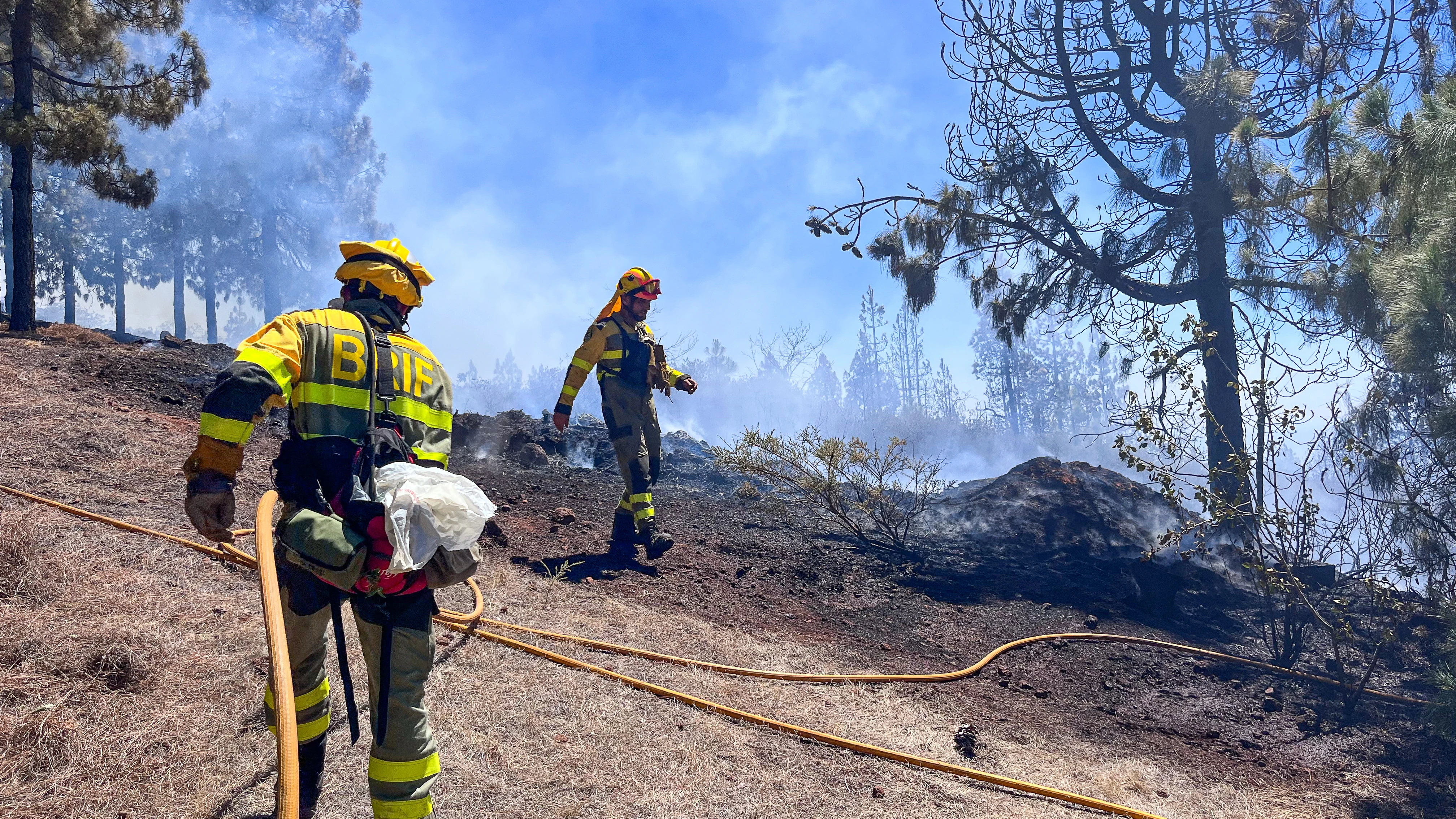 Bomberos extinguiendo el incendio de La Palma 