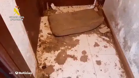 Cinco hombres violan y publican los vídeos de varias mujeres tras drogarlas y robarles en Madrid Cinco hombres violan y publican los vídeos de varias mujeres tras drogarlas y robarles en Madrid