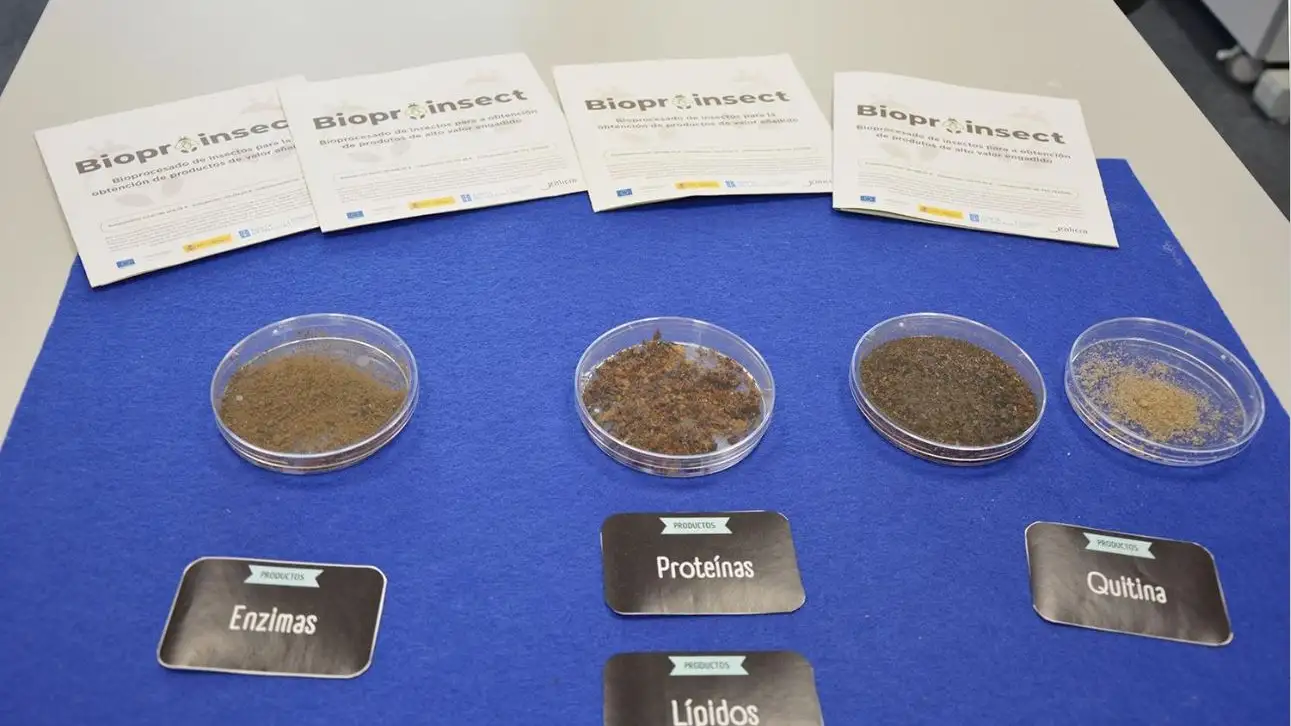 Proyecto BioproInsect de la Universidad de Vigo