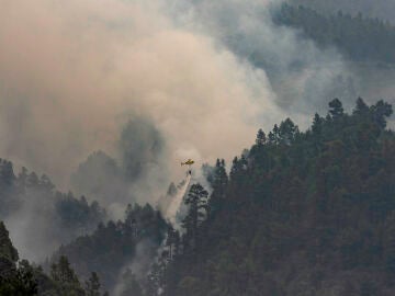 Un helicóptero descarga agua sobre el incendio forestal de La Palma