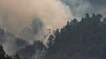 Un helicóptero descarga agua sobre el incendio forestal de La Palma