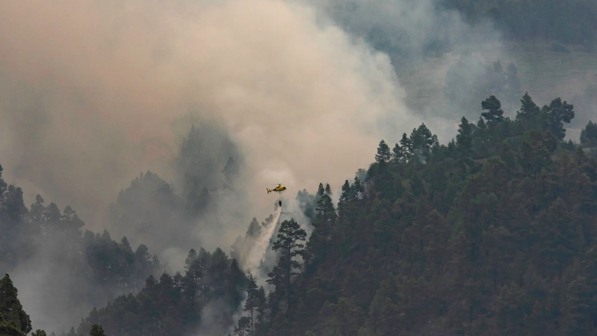 Un helicóptero descarga agua sobre el incendio forestal de La Palma Un helicóptero descarga agua sobre el incendio forestal de La Palma