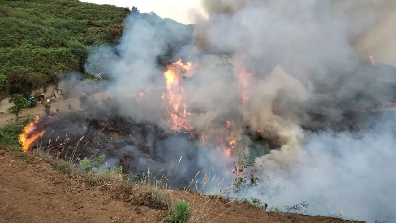 Un incendio en Los Realejos Un incendio en Los Realejos