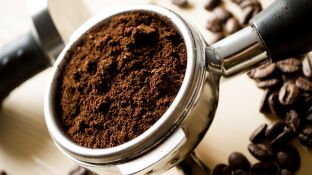 Un compuesto presente en alimentos como el cafe puede mejorar la calidad de vida durante el envejecimiento