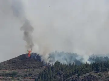 El incendio que declarado este martes en la cumbre de Gran Canaria El incendio que declarado este martes en la cumbre de Gran Canaria