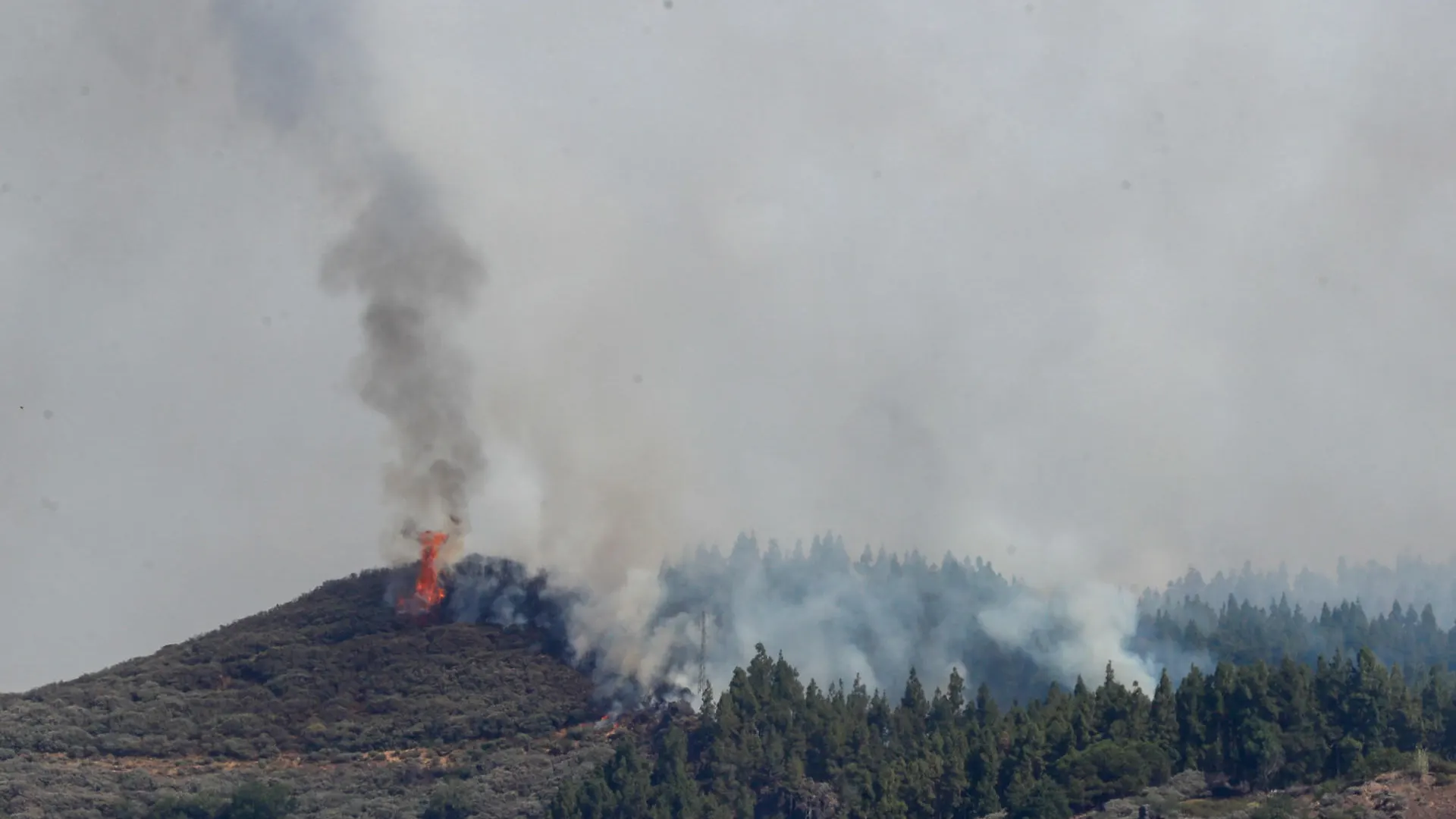 El incendio que declarado este martes en la cumbre de Gran Canaria
