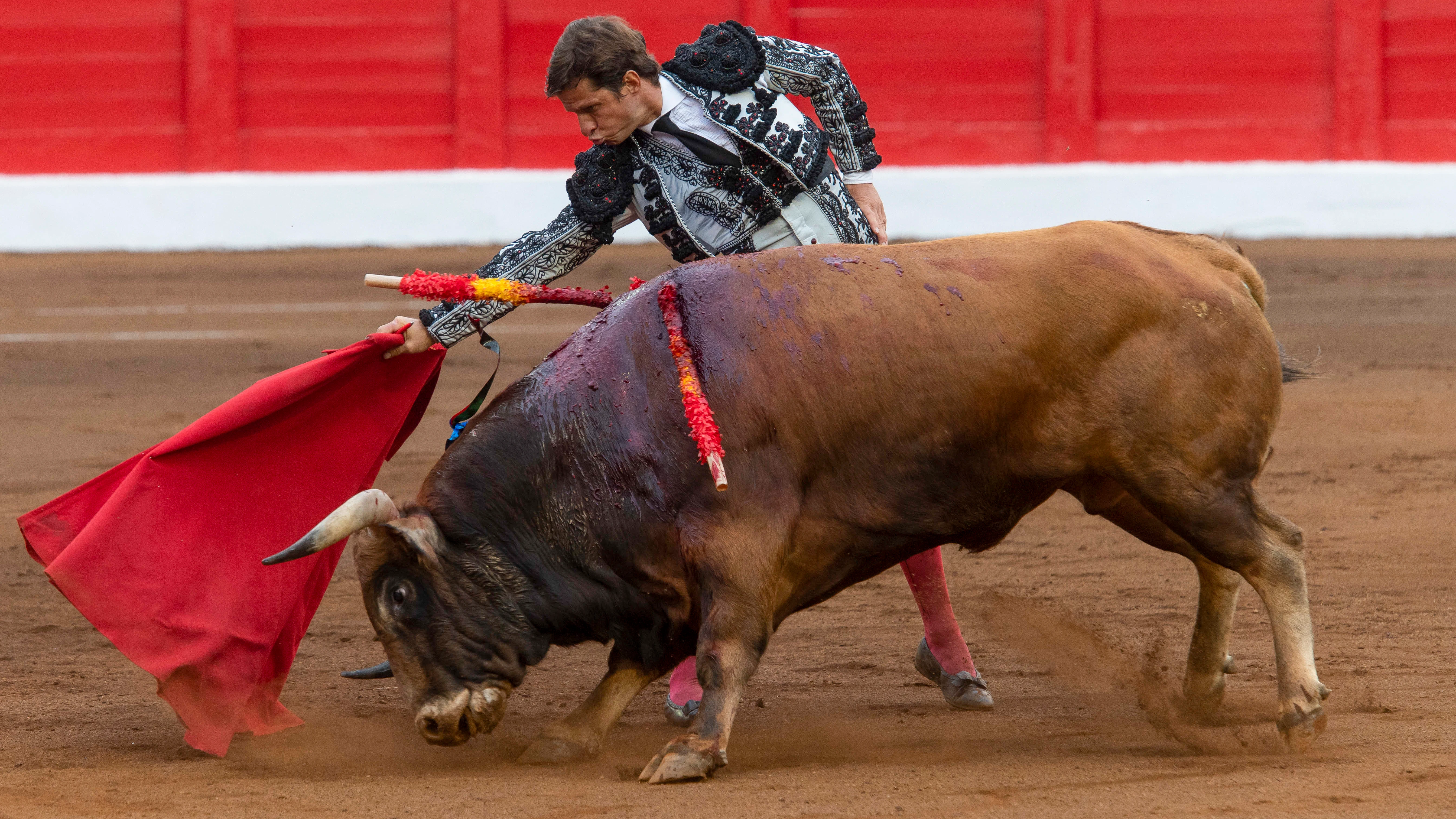 Toreo El Juli Toreo El Juli