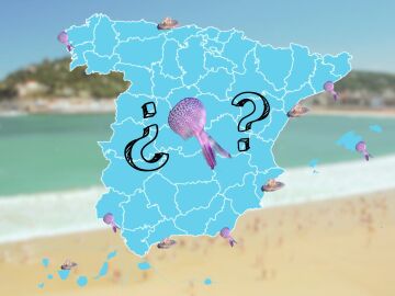 Mapa interactivo: ¿en qué playas hay medusas en España?
