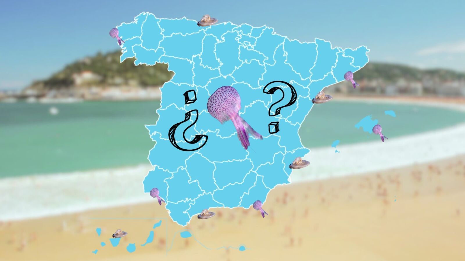 Mapa interactivo: ¿en qué playas de España hay medusas este verano?