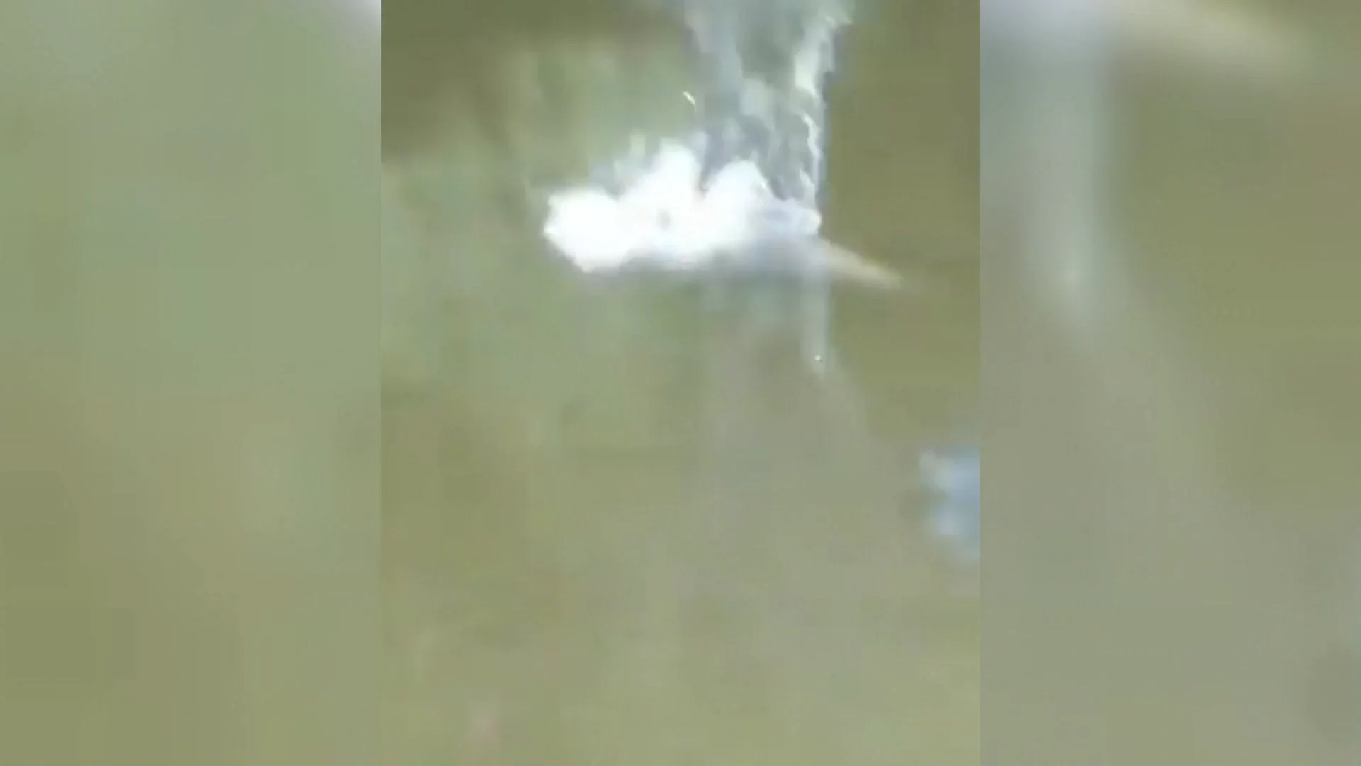 Momento en el que matan al cocodrilo en Costa Rica Momento en el que matan al cocodrilo en Costa Rica