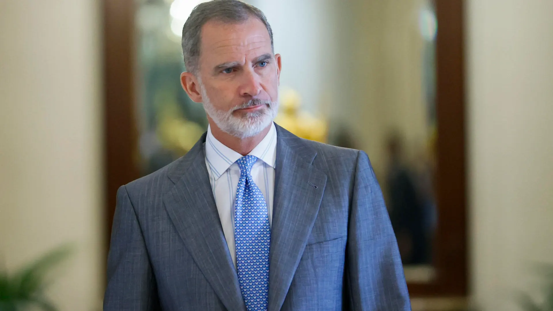 El rey Felipe VI El rey Felipe VI