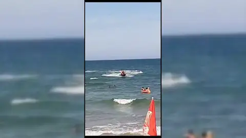 Tiburón en la playa Tiburón en la playa